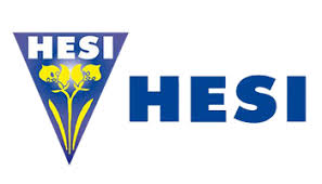 Hesi