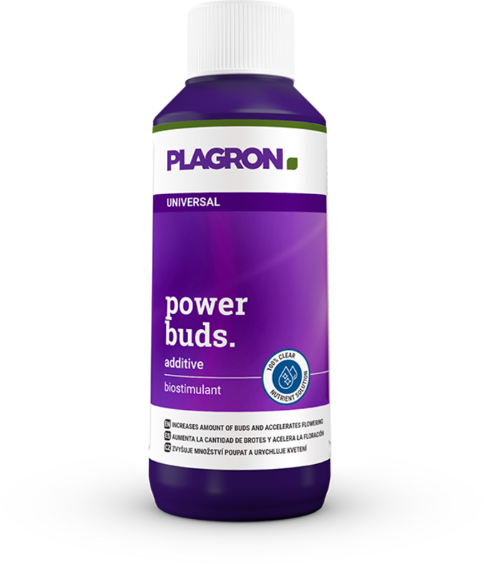 Plagron Power Buds – Hochwirksamer Blüte-Booster zur Beschleunigung der Blütenbildung und Ertragssteigerung