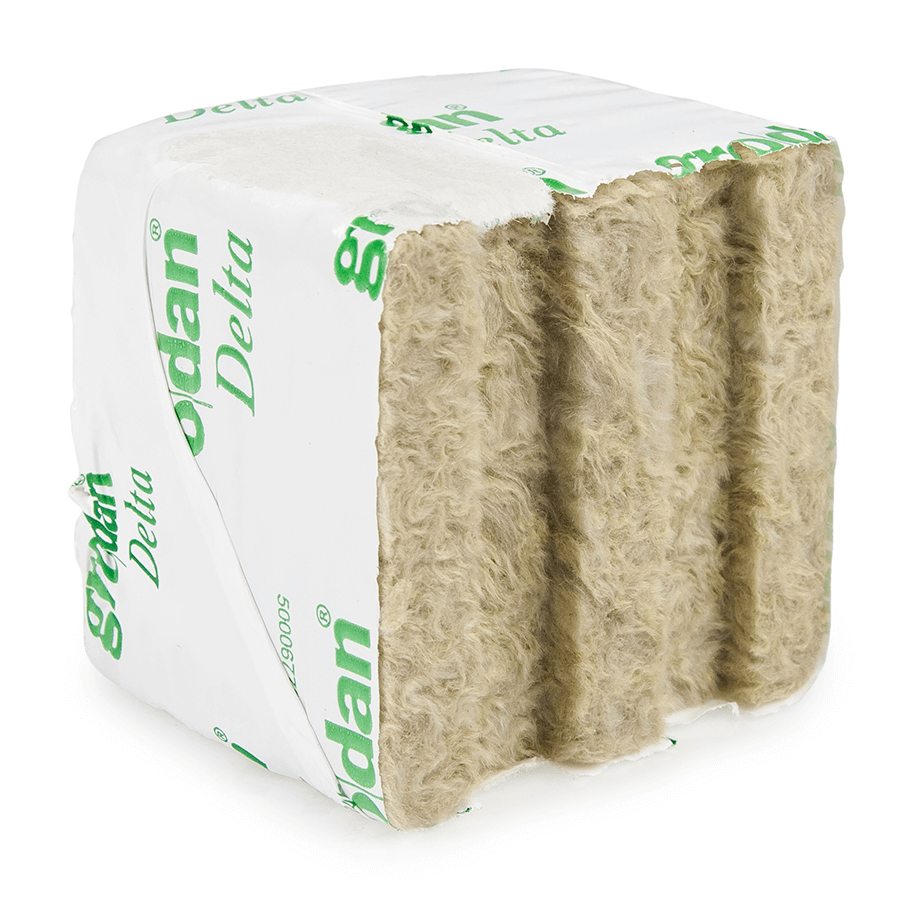 Grodan Steinwollblock 10x10x6,5 cm – 6 große Anzuchtblöcke mit Loch für eine optimale Stecklingsbewurzelung und Pflanzenanzucht in Hydroponik & Erde