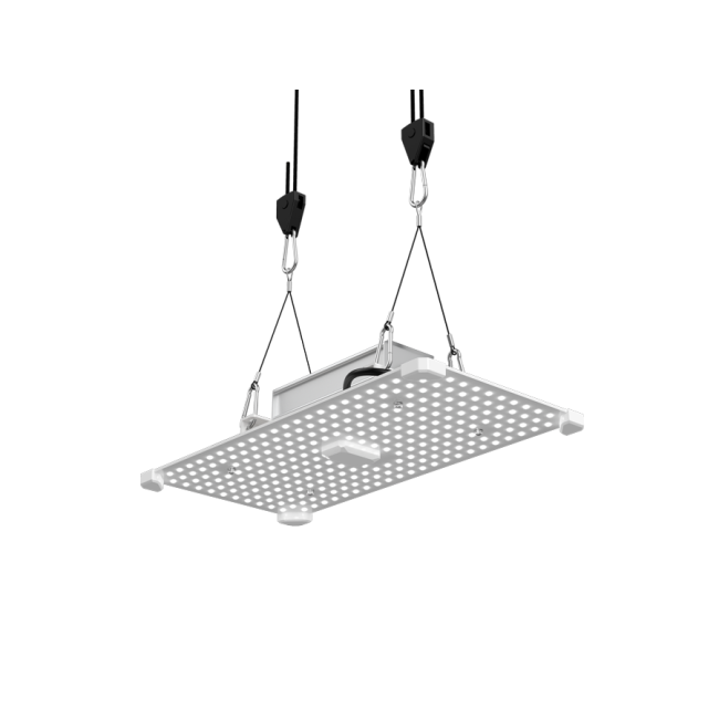 LUMii Black Blade 100W LED Growlampe mit Vollspektrum für 60×60 cm Fläche