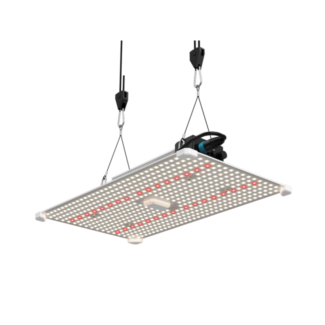 LUMii Black Blade 200 W LED Growlampe mit Vollspektrum und Dimmer, passiv gekühlt