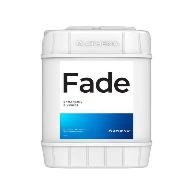 Athena - Fade