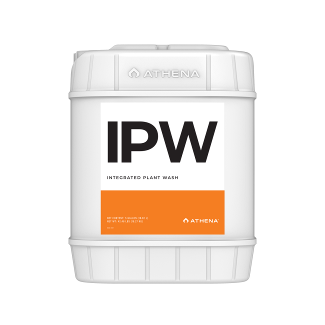 Athena - IPW