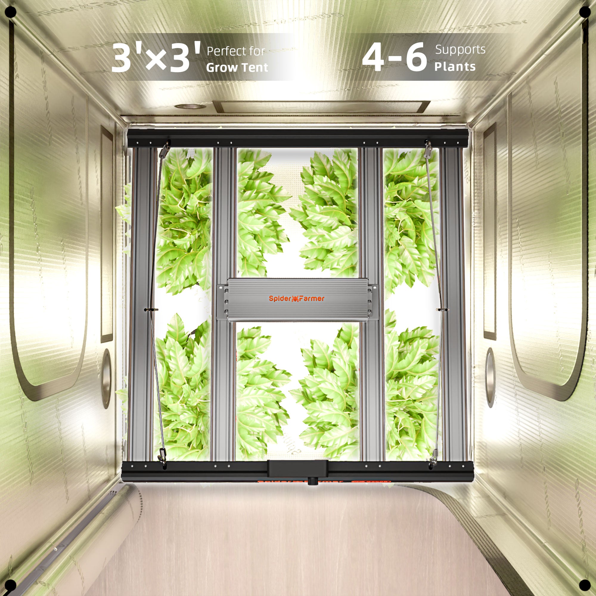 Spider Farmer G3000 300W Growbox Komplettset mit GGS Controller