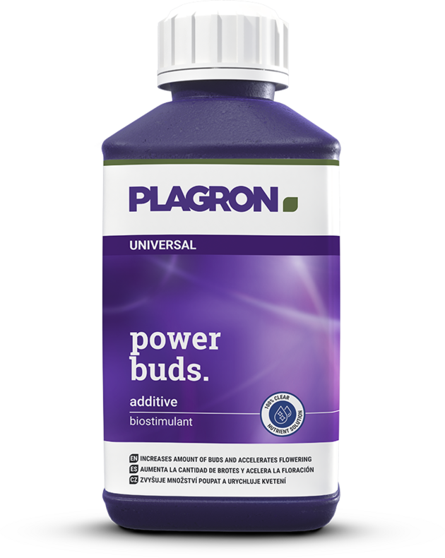 Plagron Power Buds – Hochwirksamer Blüte-Booster zur Beschleunigung der Blütenbildung und Ertragssteigerung