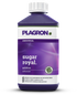 Plagron Sugar Royal – Hochkonzentrierter Blüte-Booster zur Intensivierung von Geschmack, Aroma und Terpenprofil