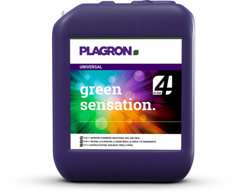 Plagron Green Sensation – Leistungsstarker Blüte-Booster für höhere Erträge und intensivere Aromen