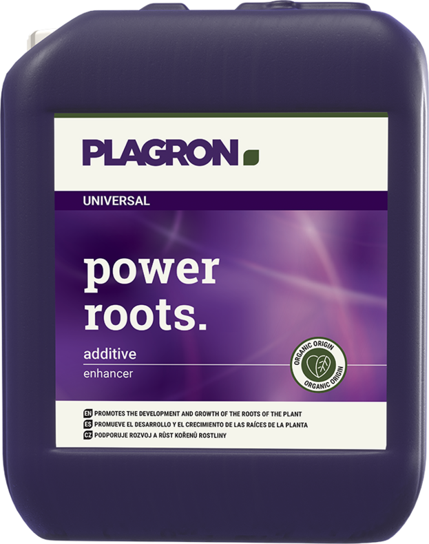 Plagron Power Roots – Hochkonzentrierter Wurzel-Booster für ein starkes und gesundes Wurzelsystem