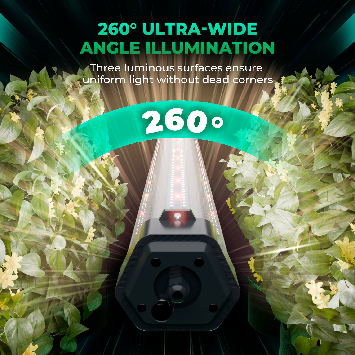 Mars Hydro ADlite 100 Under-Canopy LED – 100W Zusatzbeleuchtung für Growzelte