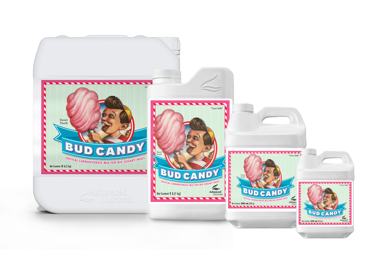 Advanced Nutrients Bud Candy – Kohlenhydrat-Booster zur Geschmacksverbesserung und Ertragssteigerung