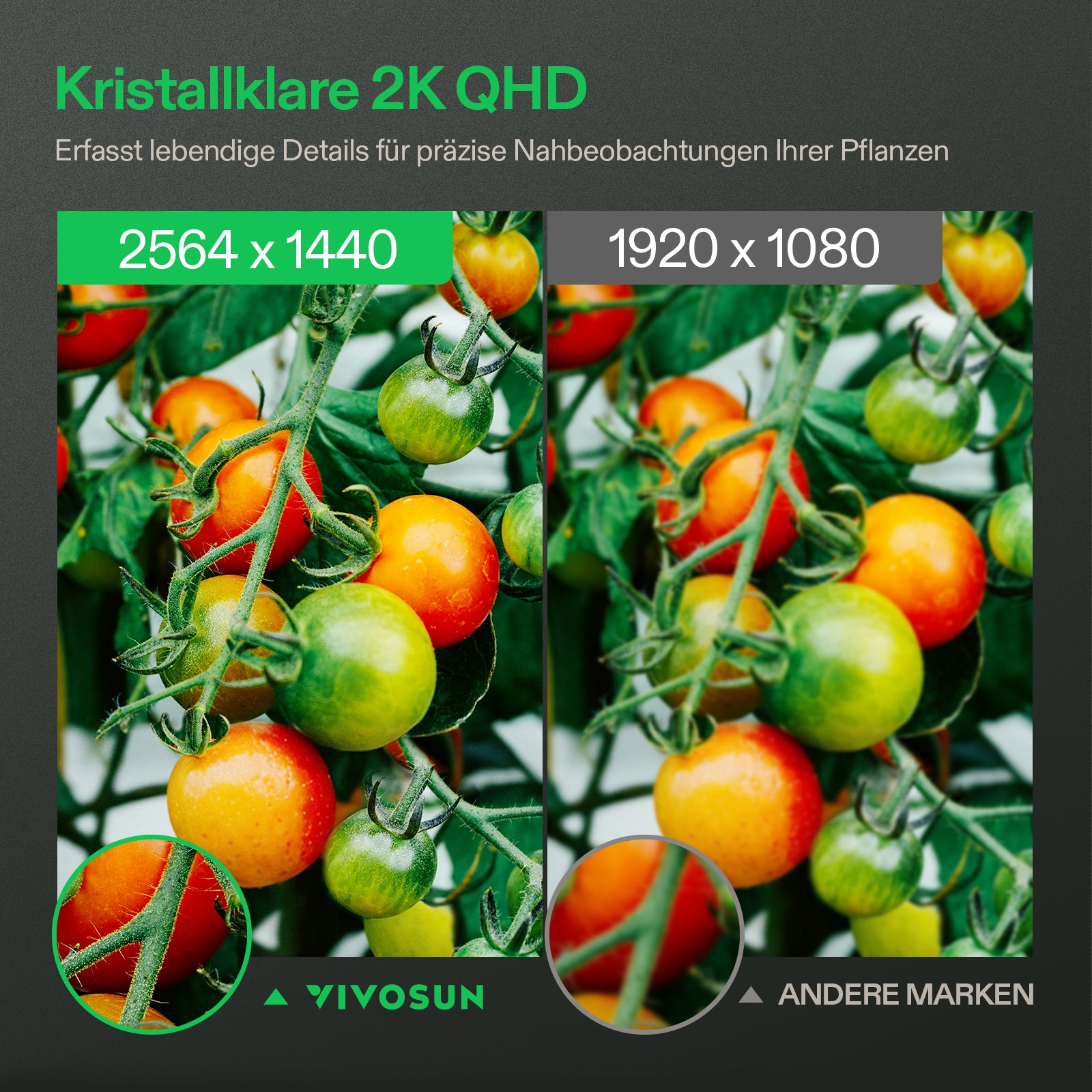 VIVOSUN GrowCam Smart Camera – Intelligente Überwachungskamera für Growzelte und Pflanzenräume mit App-Steuerung