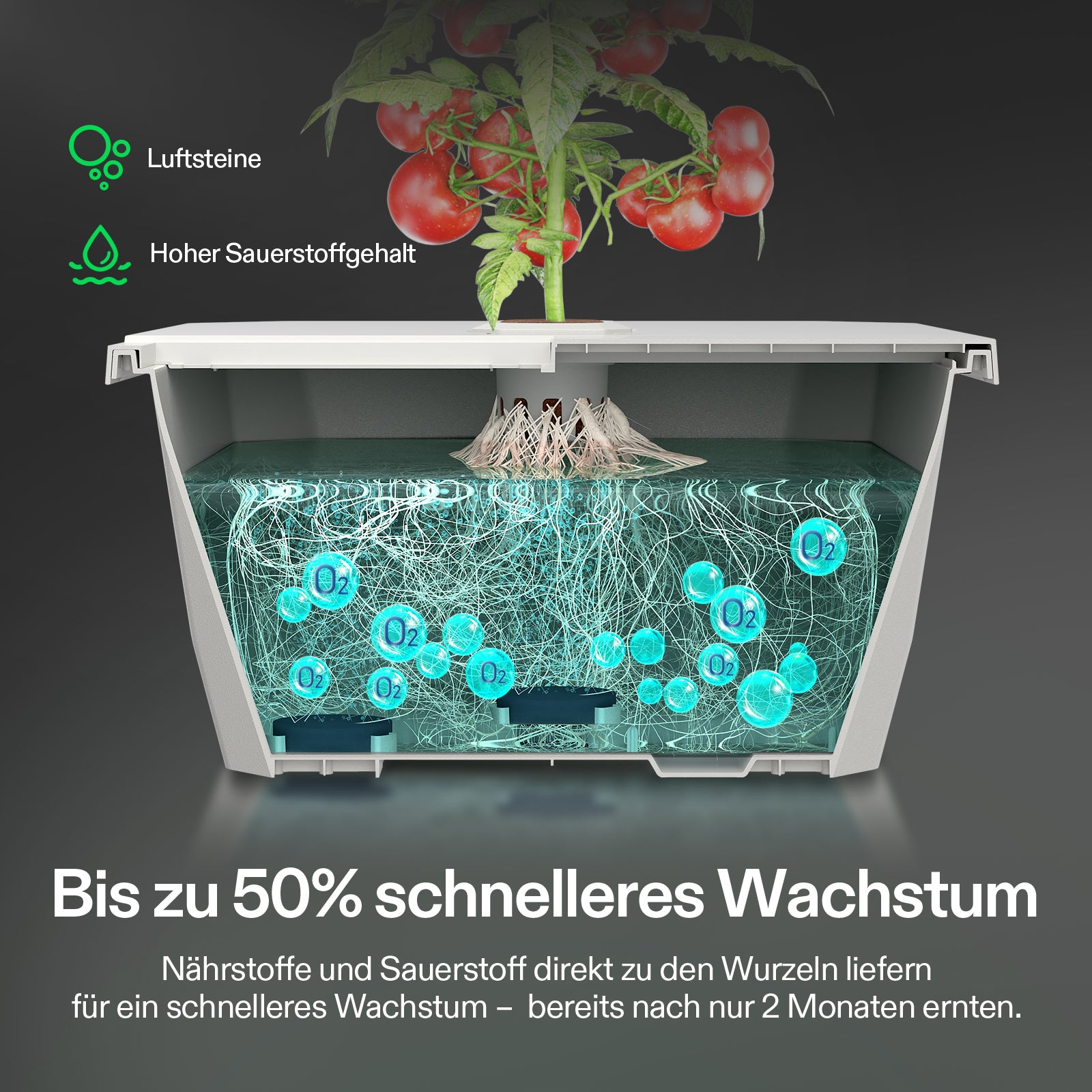 VIVOSUN DWC Hydroponik-Set – 20 L Tiefwasser-Kultursystem für Anfänger und Profis
