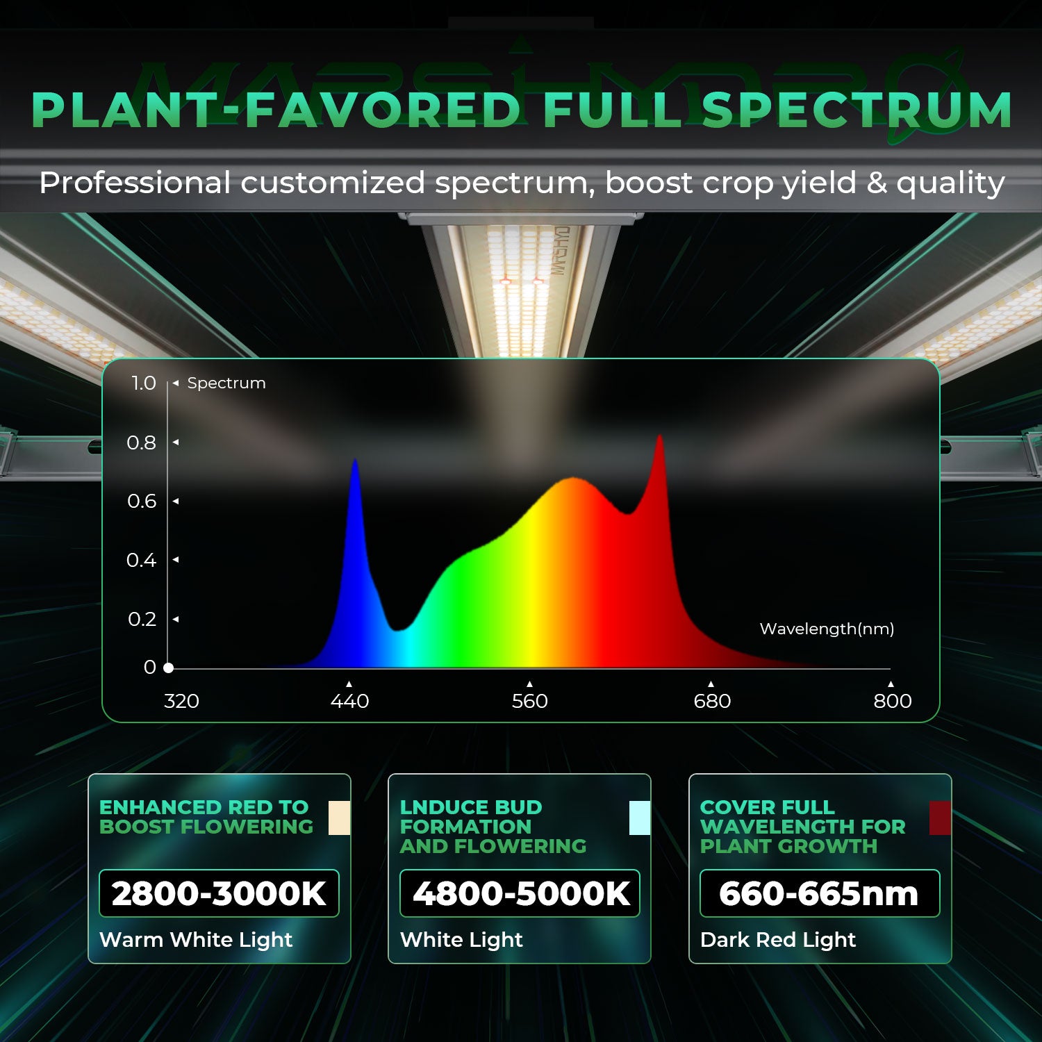 Mars Hydro FC-E3000 Growbox Komplettset mit 100×100 cm Zelt & 300W LED