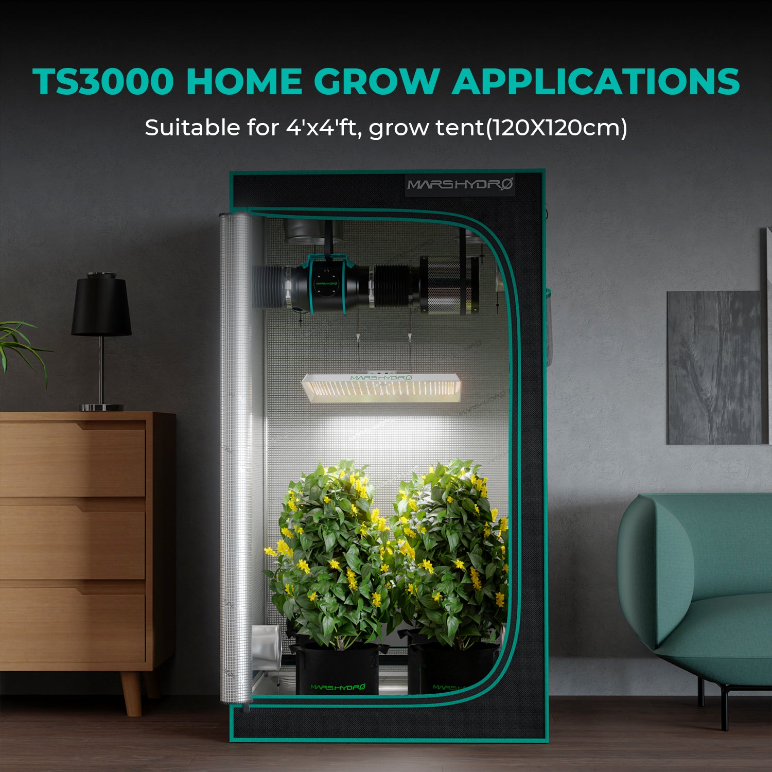 Mars Hydro TS3000 420W Growbox Komplettset 150x150x200 cm mit Bridgelux Full-Spectrum LED, 6 Zoll iFresh Abluftsystem, Aktivkohlefilter, Stofftöpfen und Grow-Zubehör