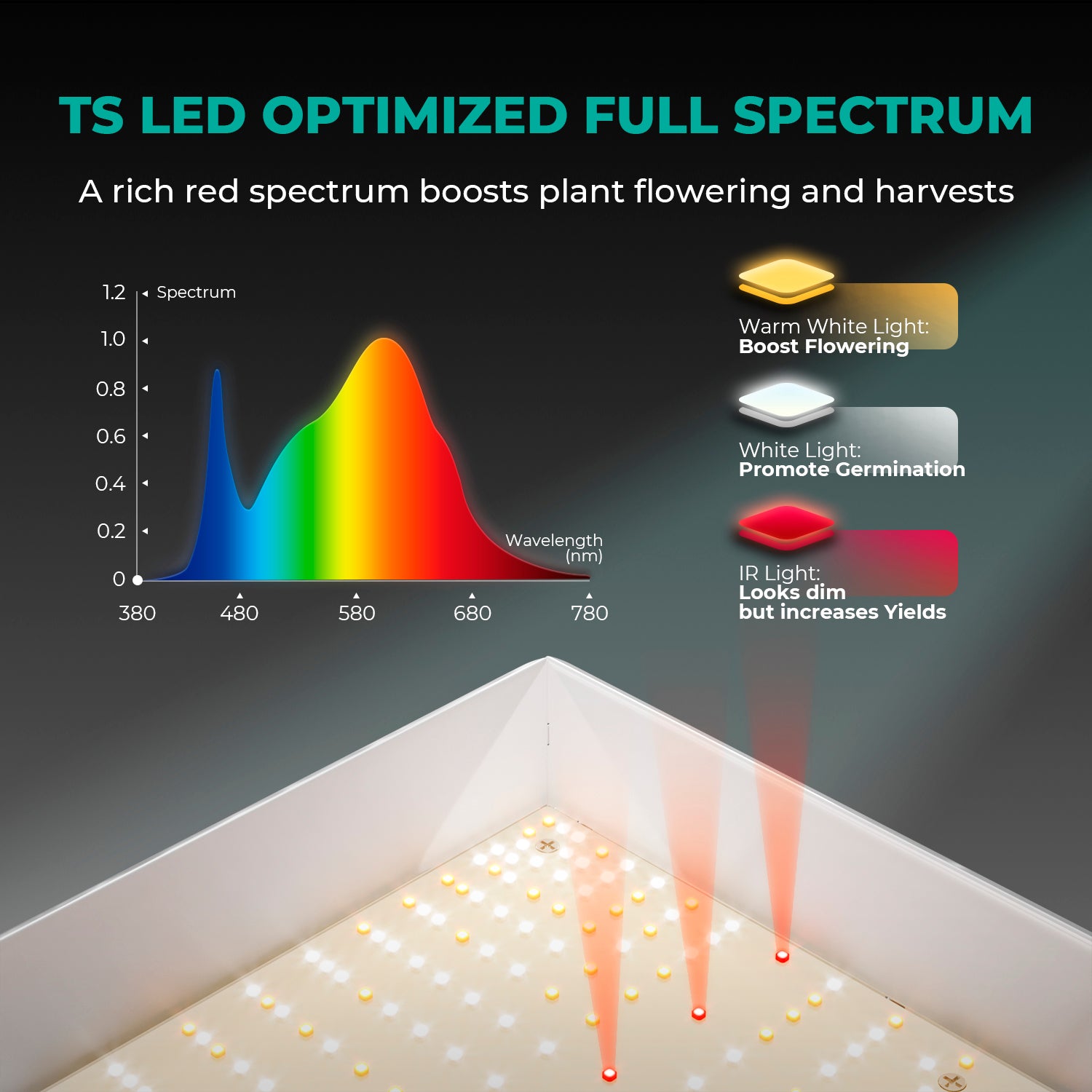 Mars Hydro TS 600 LED Growlampe 100W – kompakt, effizient & vollspektral