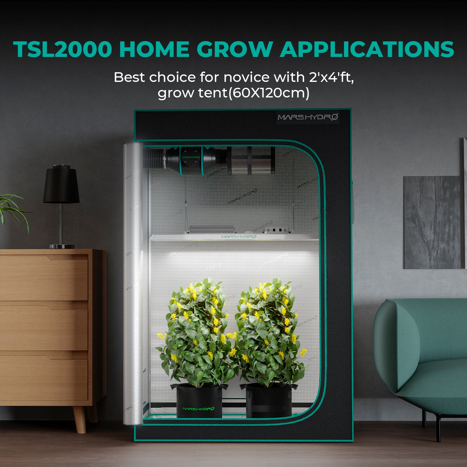 Mars Hydro TSL 2000 Growbox Komplettset mit 120×60 cm Zelt & 300W LED