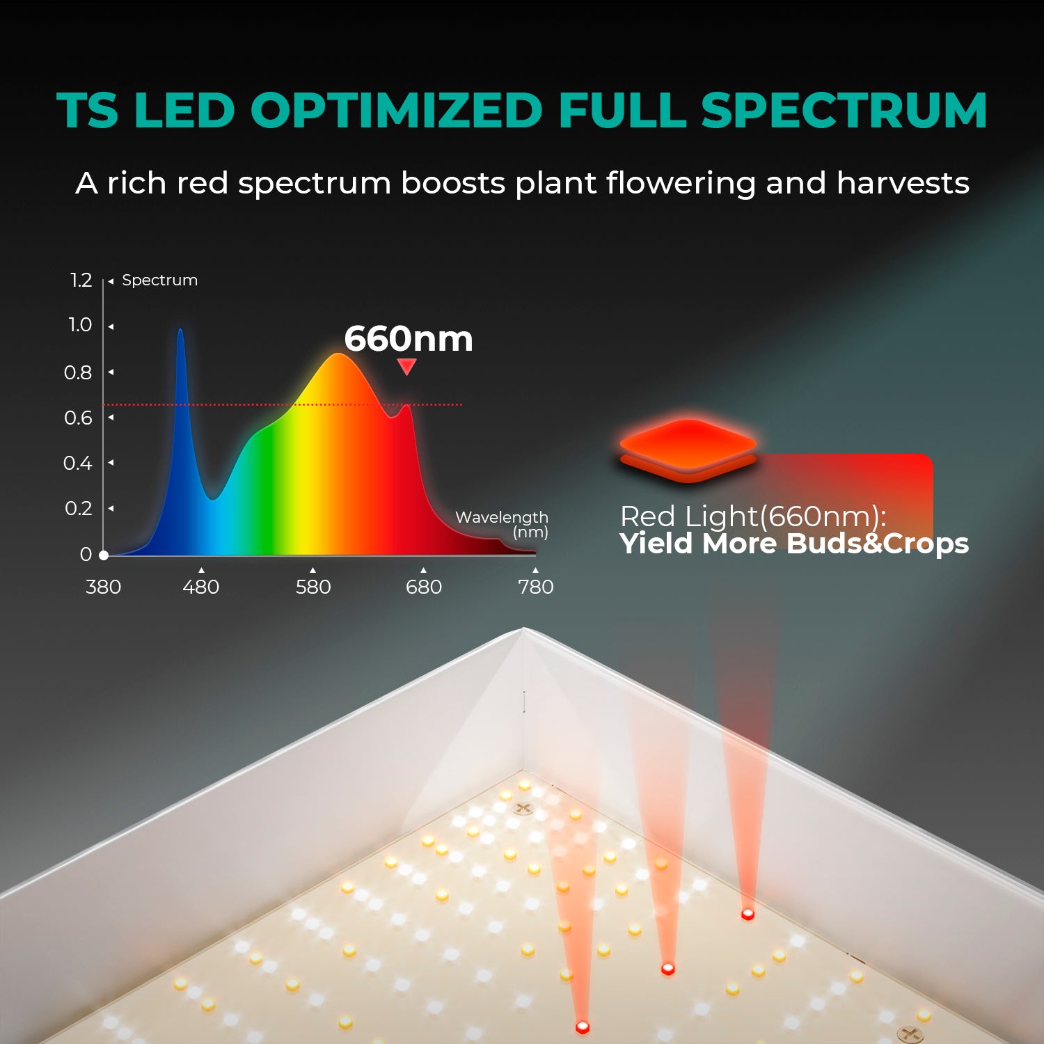 Mars Hydro TSL 2000 LED Grow Lampe Vollspektrum 300W mit dimmbarer Beleuchtung, energieeffizientem Design und passiver Kühlung für Indoor-Gärten