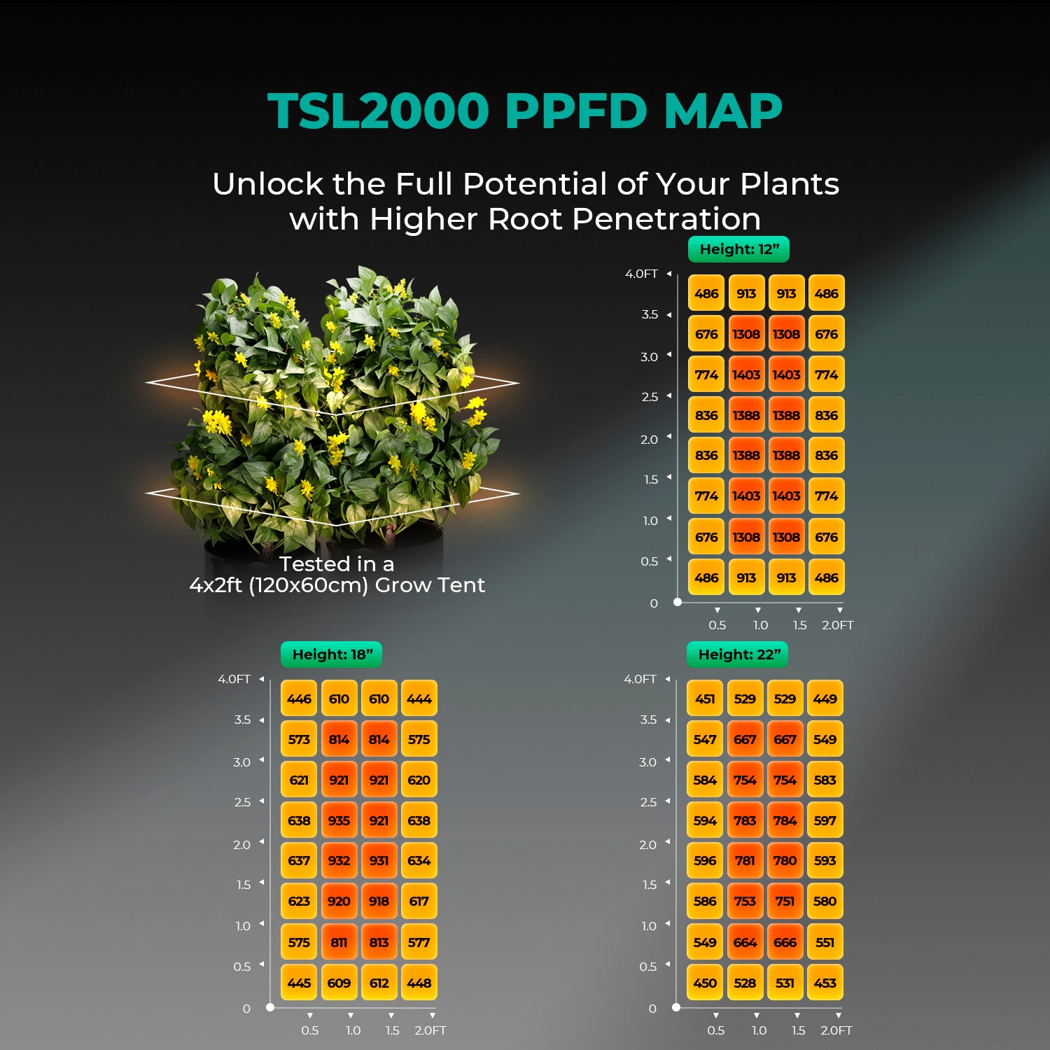 Mars Hydro TSL 2000 Growbox Komplettset mit 120×60 cm Zelt & 300W LED