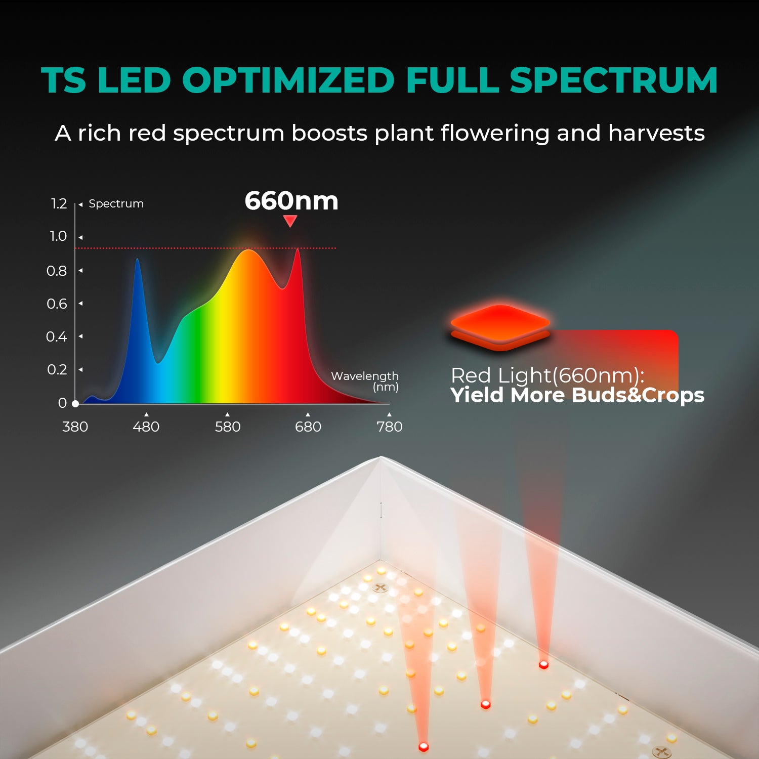 Mars Hydro TSW 2000 LED Grow Lampe Vollspektrum 300W mit dimmbarer Beleuchtung, reflektierendem Design und passiver Kühlung für Indoor-Gärten