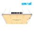 Spider Farmer SF1000 LED Growlampe mit Samsung LM301H EVO für 60x60 cm