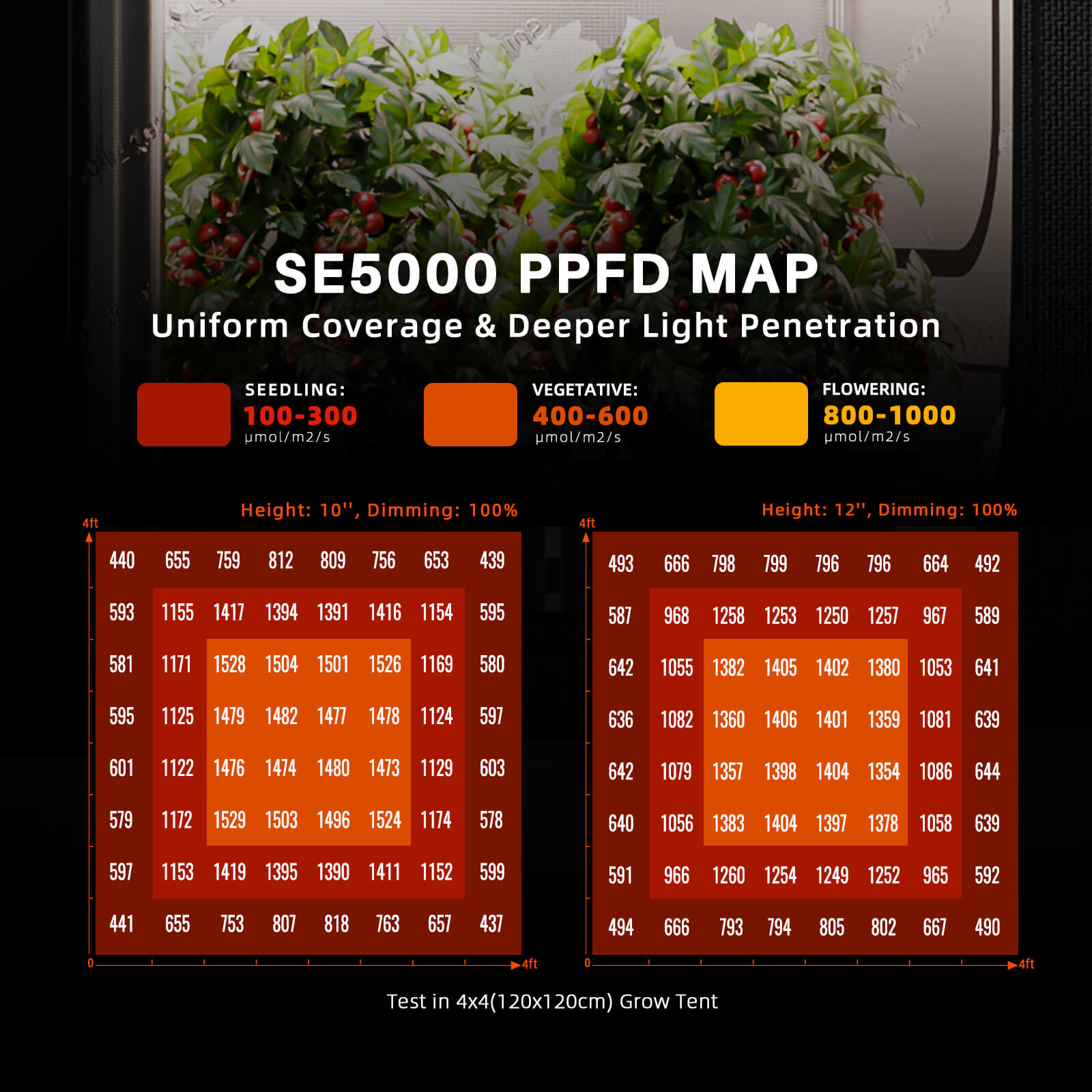 Spider Farmer SE5000 480W Growbox Komplettset 120x120x200 cm