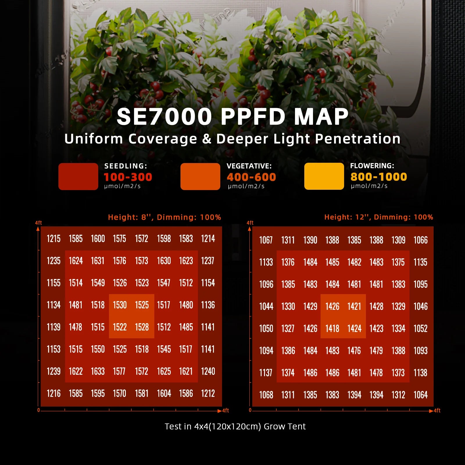Spider Farmer SE7000 LED Growlampe 730W mit Samsung LM301H EVO und App-Steuerung für große Flächen