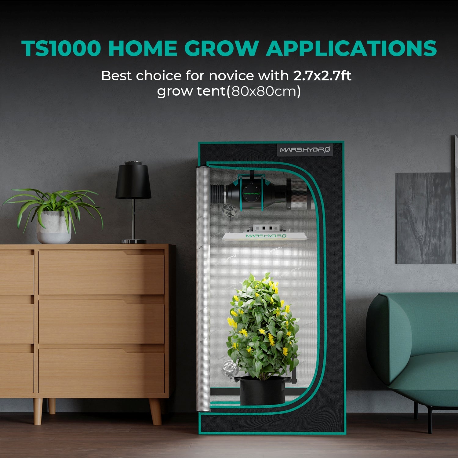Mars Hydro TS 1000 Growbox Komplettset mit 80×80 cm Zelt & 150W LED für 1–3 Pflanzen