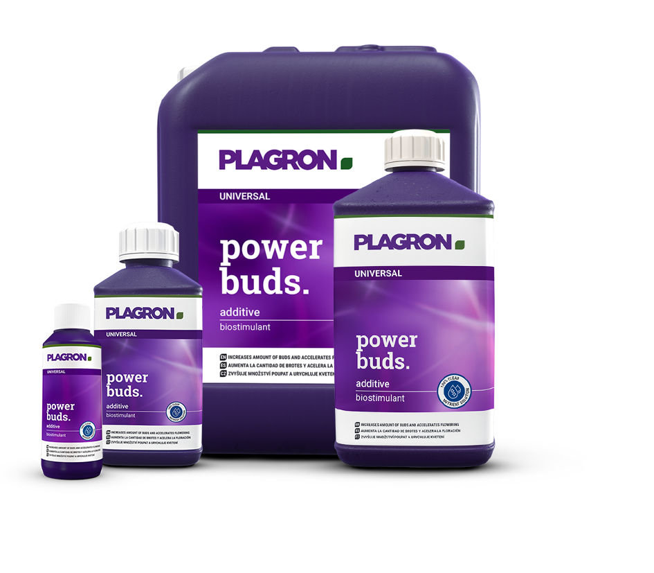 Plagron Power Buds – Hochwirksamer Blüte-Booster zur Beschleunigung der Blütenbildung und Ertragssteigerung