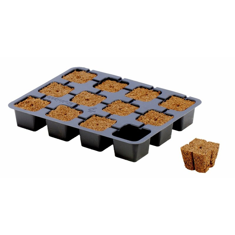 Eazy Plug Stecklingstrays – 12 Stück