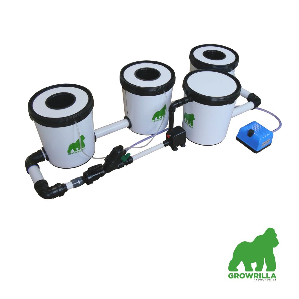 Growrilla Hydroponics RDWC System mit 3 Töpfen in Reihe, recirculating Deep Water Culture Setup mit integrierter Pumpe und Belüftung