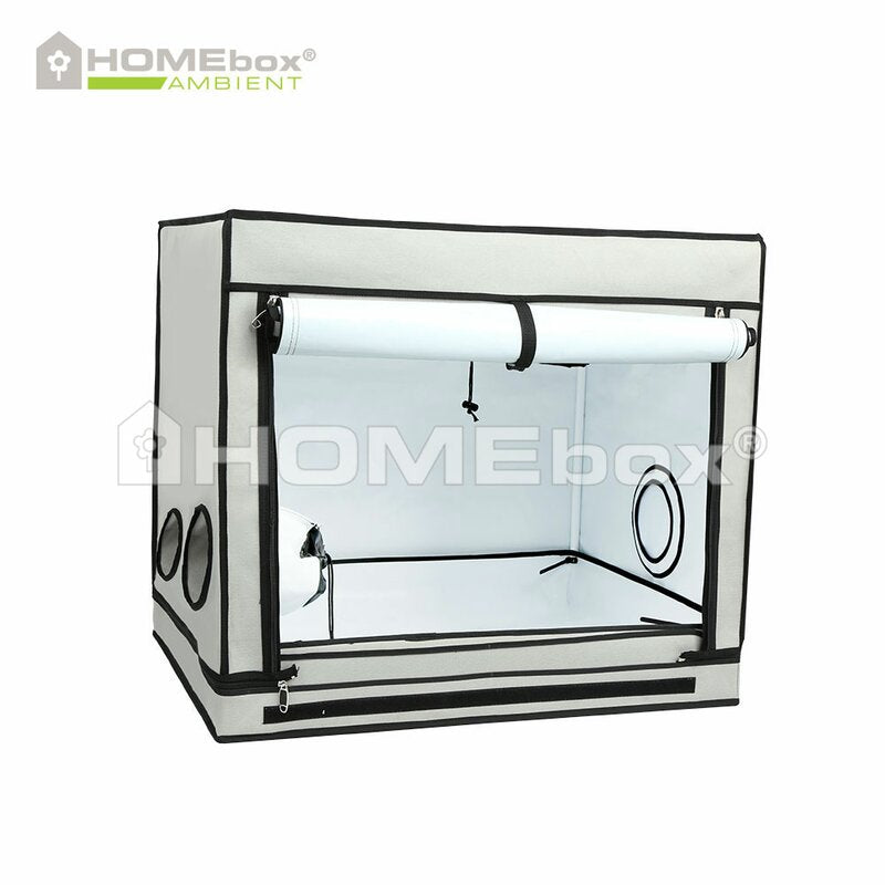 HOMEbox Ambient R80S – kompakte Growbox 80×60×70 cm für Anzucht & Stecklinge