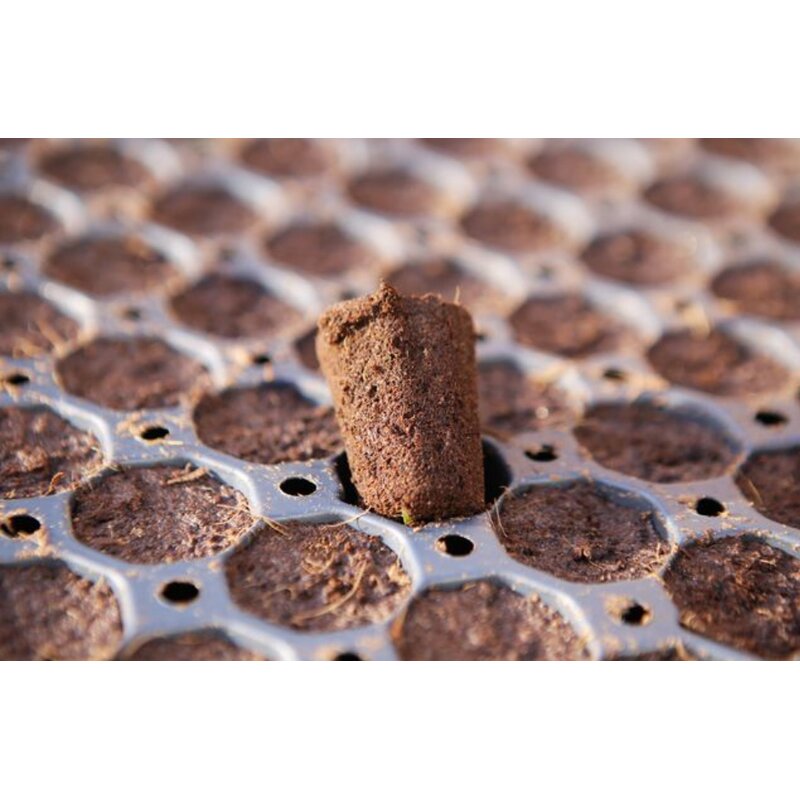 Jiffy Plugs 104 Tray Anzuchtplatte mit 104 Plugs