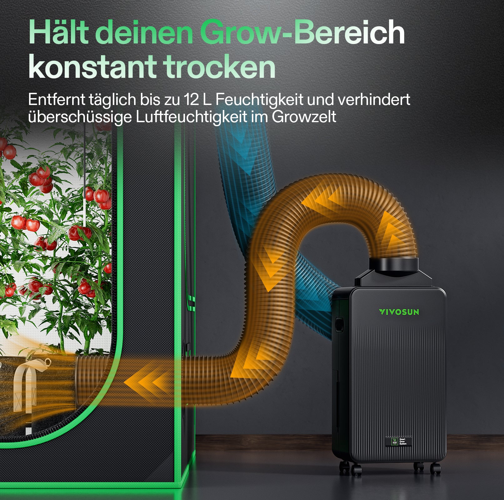 VIVOSUN AeroDrain D12 smarter Luftentfeuchter für Growzelt – bis 12 L/Tag, 2 L Tank, App-steuerbar
