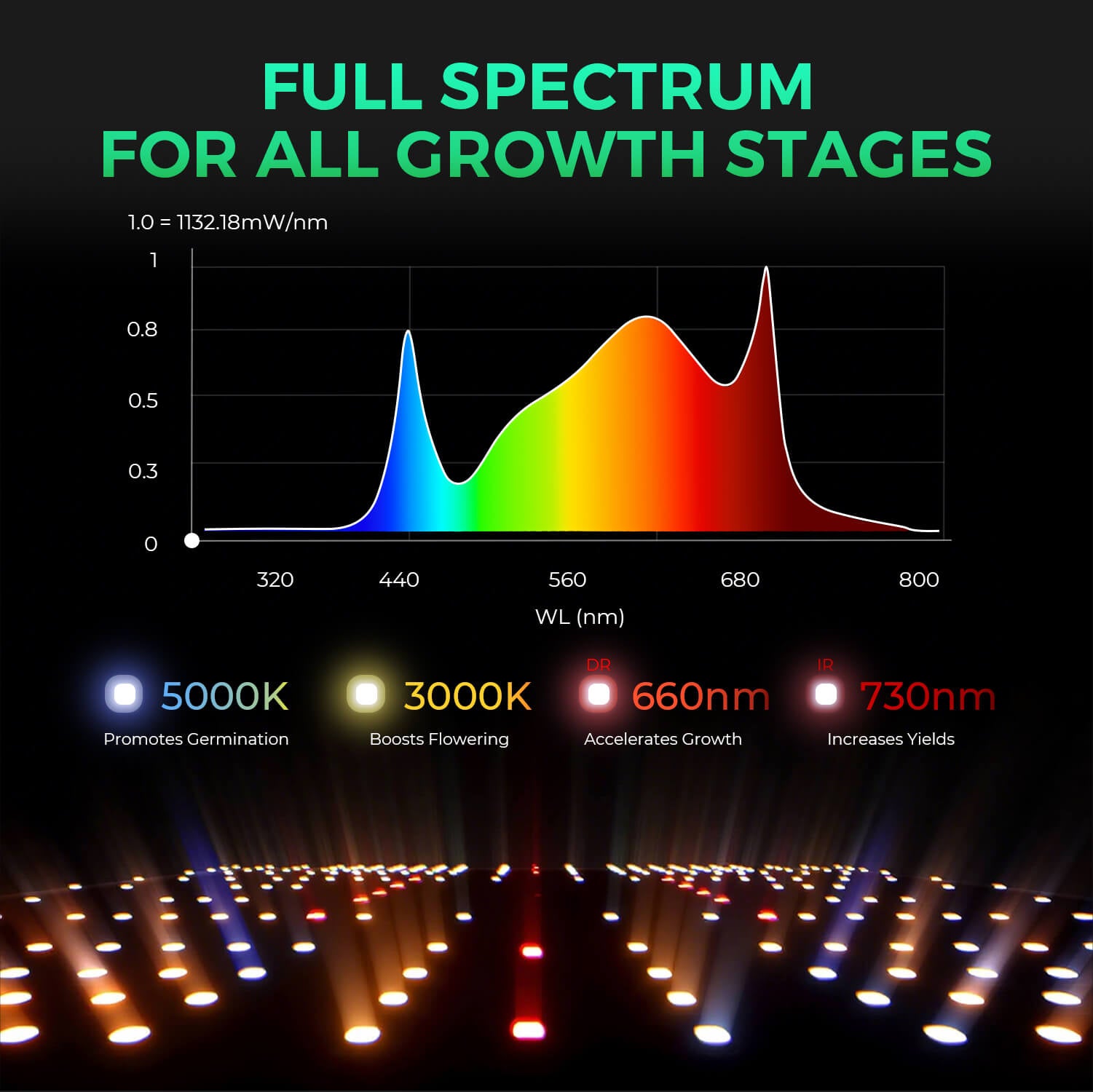 Mars Hydro SP3000 300W Samsung LM301B Vollspektrum LED Grow Light