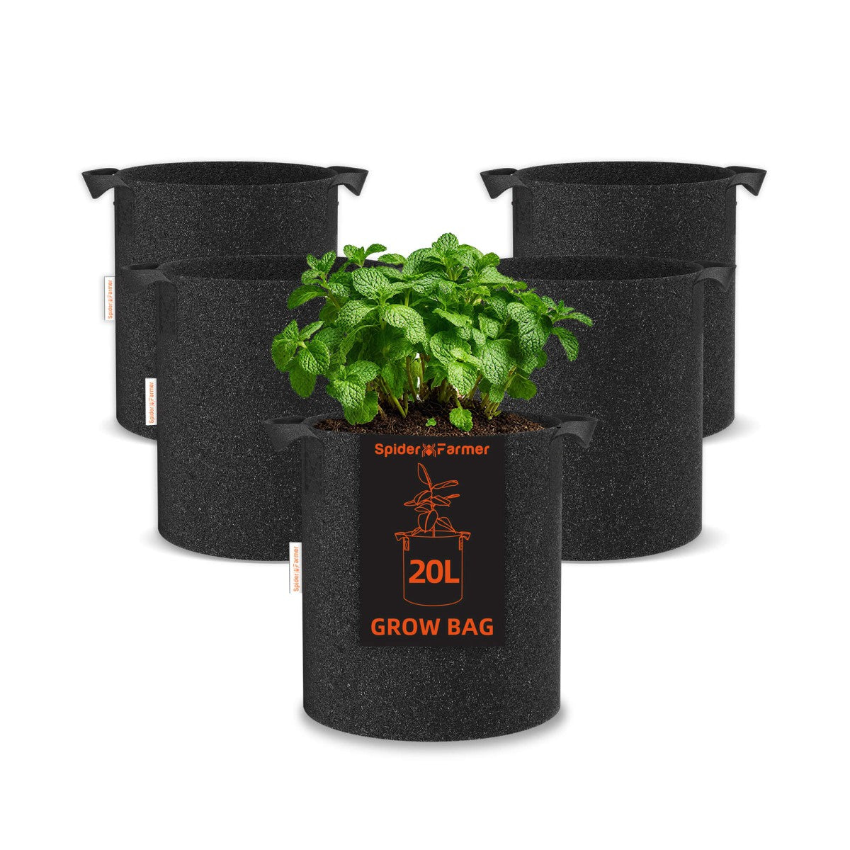Spider Farmer SE4500 320W Growbox Komplettset 70x140x200 cm mit GGS