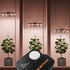 Spider Farmer GGS SensorPro Set – CO₂- und PAR-Sensor zur Klima- und Lichtoptimierung im Growzelt