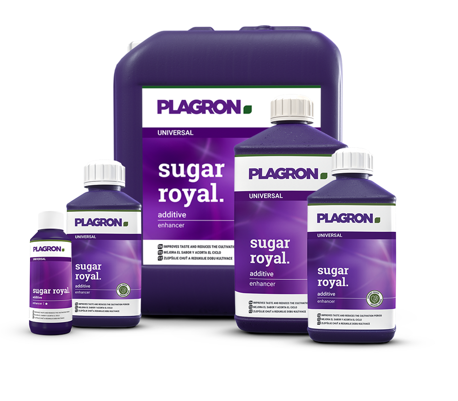 Plagron Sugar Royal – Hochkonzentrierter Blüte-Booster zur Intensivierung von Geschmack, Aroma und Terpenprofil